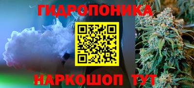ешки Гагарин