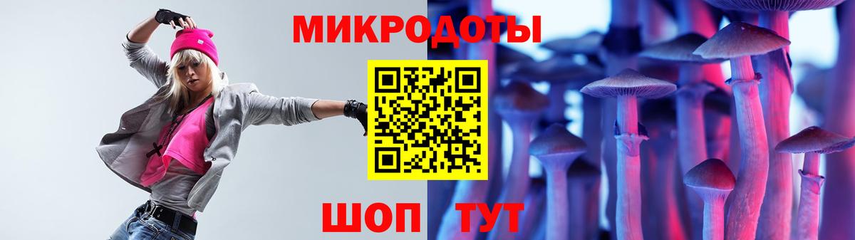 Псилоцибиновые грибы GOLDEN TEACHER Гусев
